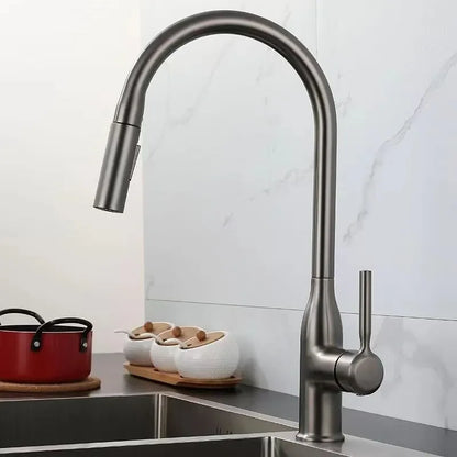 Robinet de Cuisine Extractible 360° – 2 Jets – Noir mat, Chrome, Gris, Argent brossé