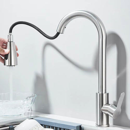 Robinet de Cuisine Extractible – Jet Douchette & Rotation 360° (Noir mat, Chrome, Nickel brossé)